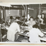 CALSAの原点、1965年の修業時代